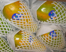 Formosa Papayas